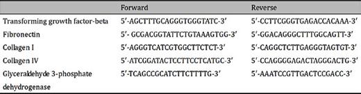 Oligonucleotides synthesized by Invitrogen (Carlsbad, CA, USA)