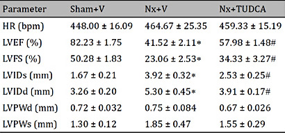 Echocardiographic parameters at week-12. HR: heart rate; LVEF: left-ventricular ejection fraction; LVFS: left-ventricular fractional shortening; LVIDs: left-ventricular internal dimension systole; LVIDd: left-ventricular internal dimension diastole; LVPWd: left-ventricular diastolic posterior wall thickness; LVPWs: left-ventricular systolic posterior wall thickness. Data are the mean ± SEM; (n = 6); * P < 0.05, Sham+V vs. Nx+V; # P < 0.05, Nx+V vs. Nx+TUDCA