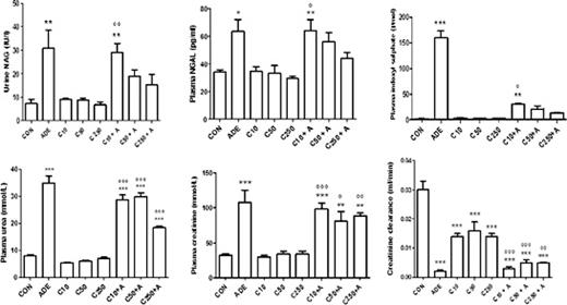Fig. 2. Effect of chrysin treatment on creatinine clearance, and plasma concentrations of creatinine, urea, indoxyl sulfate, and neutrophil gelatinase-associated lipocalin (NGAL), and urinary N-acetyl-β-D-glucosaminidase (NAG) activity in control rats (CON) or rats treated singly or concomitantly with adenine (ADE, A), chrysin (C) at doses of 10, 50 or 250 mg/kg. Each column and vertical bar is a mean ± SEM (n = 6). Different superscripts indicate significance as follows: * denotes significance of different groups vs control group: where *p ≤ 0.05, **p < 0.001, ***p < 0.0001. ° denotes significance of groups treated with chrysin alone vs. its corresponding groups treated with chrysin + adenine, where °p ≤ 0.05, °°p < 0.001, °°°p < 0.0001.
