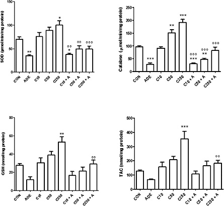 Fig. 3. Effect of chrysin treatment on renal concentration or activity of reduced glutathione (GSH), superoxide dismutase (SOD), total antioxidant capacity (TAC) and catalase in control rats (CON) or rats treated singly or concomitantly with adenine (ADE, A), chrysin (C) at doses of 10, 50 or 250 mg/kg. Each column and vertical bar is a mean ± SEM (n = 6). Different superscripts indicate significance as follows: * denotes significance of different groups vs control group: where *p ≤ 0.05, **p < 0.001, ***p < 0.0001. ° denotes significance of groups treated with chrysin alone vs. its corresponding groups treated with chrysin + adenine, where °p ≤ 0.05, °°p < 0.001, °°°p < 0.0001.