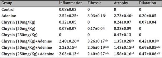 Effect of chrysin on kidney morphology in rats with adenine-induced kidney chronic disease. Values in the tables are mean ± SEM (n=6). Chronic kidney disease (CKD) was induced by the inclusion of adenine in the feed at a concentration of 0.25 % w/w for 35 days and then chrysin (10, 50, and 250mg/kg) was given orally by gavage for 10 days after induction of CKD. Histopathology was evaluated from kidney slices stained with hematoxylin, Masson trichrome and periodic schiff acid. Values with superscripts are statistically different p value a vs control; b vs. Chrysin (10 mg/kg); c vs. Chrysin (50 mg/kg); d vs. Chrysin (250 mg/kg); e vs. Chrysin (10 mg/kg) + Adenine; f vs. Chrysin (50 mg/kg) + Adenine