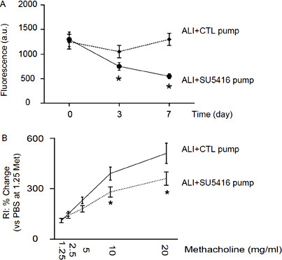 Fig. 4. Suppression of VEGF signaling mimics the effects of ACE2 on the vessel permeability against VEGFa. We implanted a releasing pump of a VEGF signaling inhibitor, SU5416, after induction of ALI (ALI + SU5416 pump). Mini-pumps containing PBS only were implanted in control mice (ALI + CTL pump). (A) Provision of VEGF inhibitor SU5416 mimicked the effects of ACE2 on the vessel permeability against VEGFa. (B) The effects of ACE2 on lung function protection in a methacholine response test for RI. *p < 0.05. N = 10.