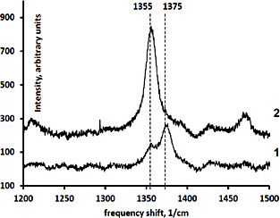 Fig. 1. Raman spectra of erythrocyte suspensions measured after 20-min exposure to air (1) or oxygen-free gas mixture (2).