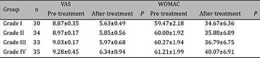. Comparison of VAS and WOMAC scores at baseline and end of treatment between groups with different grades of knee OA