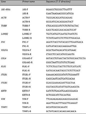 Primers used for qRT-PCR