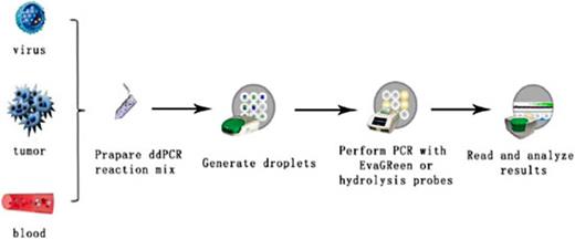 Technical route of ddPCR. Template extracted from pathogens, tumors or plasma is distributed into 20,000 droplets by the water-in-oil droplet technique. After amplification, signals are detected by a photomultiplier, followed by data analysis.
