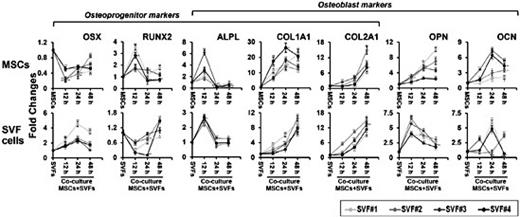 Fig. 2. Time-dependent differential regulation of osteogenic markers in mono-cultured or co-cultured MSCs with SVF cells as determined by qRT-PCR. All values are shown as the normalized target gene expression level (fold change; 2-ΔΔCt) relative to GAPDH transcript levels. The data are representative of three independent experiments. Significant differences among the co-culture groups and the mono-culture group were determined via ANOVA, with p values indicated as *p<0.05 and **p<0.01.