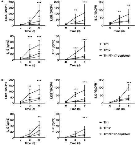 Fig. 4. Th1 and Th17 cells promoted M1 macrophage differentiation. Monocytes were negatively enriched from PBMCs by magnetic sorting, and were incubated with sorted CXCR3+CD4+ (Th1, filled circle), CCR4+CCR6+CD4+ (Th17, open circle) cells, or Th1/Th17-depleted (filled triangle) CD4+ T cells at 1: 5 ratio, in the presence of anti-human CD3/ CD28 antibodies. After 0, 3, and 6 days of coculture, the mono-cyte/macrophages were harvested for mRNA examination. The supernatant was collected for ELISA. Mean ± SD of data from all 12 AMD patients were presented. (A) The IL12A, IL12B, and IL10 mRNA expression in macrophages, and the IL-12 and IL-10 concentration in culture supernatant in 12 AMD patients. Two-way ANOVA followed by Tukey’s test. *P<0.05. (B) The IL12A, IL12B, and IL10 mRNA expression in macrophages, and the IL-12 and IL-10 concentration in culture supernatant in 10 healthy controls. Two-way ANOVA followed by Tukey’s test. *P<0.05.