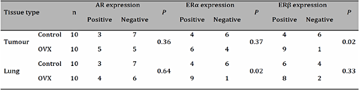 AR, ERα and ERβ expression in transplanted tumour and lung tissues from the control and OVX (ovariectomized) groups.