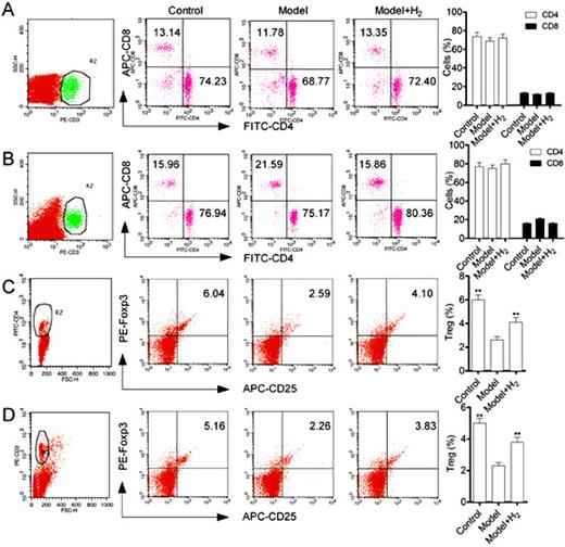 Fig. 4. Effects of hydrogen on the differentiation of spleen and peripheral blood T cell subtypes by flow cytometry. Cells were separated and incubated with different antibodies for 30 min. The proportion of spleen CD4 and CD8 (A), Treg (C) and peripheral blood CD4 and CD8 (B), Treg (D) was analyzed by flow cytometry. **P<0.01 compared with model group.