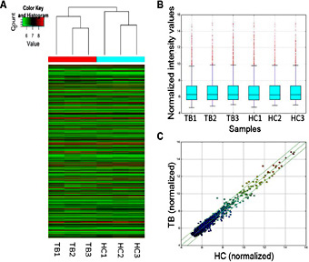 Fig. 1. Analysis of differentially expressed circRNAs in TB patients and healthy controls. (A) Hierarchical clustering results of circRNAs expression profiles among the TB group and control group. “Red” indicated high relative expression and “green” indicated low relative expression. (B) Box plots show the distribution of circRNAs for the two groups. The distributions were nearly the same after normalization. (C) CircRNAs in the Scatter-Plot above the top green line and below the bottom green line indicated more than 1.5 fold change of circRNAs between the two groups. HC: healthy controls; TB: tuberculosis.