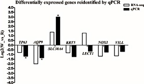 Fig. 4. Differentially expressed genes reidentified by qPCR. Asterisk (*) denotes the significantly differentially expressed (P< 0.05), tested by T-test. Black histogram represents the qPCR and white histogram represents the RNA-seq.