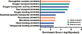 Fig. 3. Gene ontology of differentially expressed mRNAs. The top 10 GO terms associated with the differentially expressed mRNAs. The differentially expressed mRNAs for GO analysis were obtained by comparing the sham, ICH and BYHWD groups.