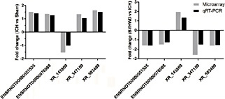 Fig. 5. qRT-PCR validation of 5 randomly selected lncRNAs from the intersection. The results showed that the expression of the lncRNAs ENSRNOT00000051535, ENSRNOT00000076988, XR_347159 and XR_593489 was upregulated after ICH but downregulated after BYHWD treatment, whereas the expression of XR_145869 decreased after ICH but increased after BYHWD treatment. The trends in expression of randomly selected lncRNAs detected by qRT-PCR were similar to those detected by the lncRNA microarray. The remaining portions of the samples from the lncRNA microarray were used for quantitative real-time polymerase chain reaction (qRT-PCR) validation.