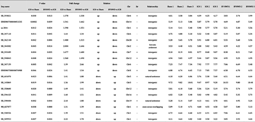 18 differentially expressed lncRNAs identified from 2 lncRNA arrays (ICH vs sham, BYHWD vs ICH). Seq name: sequence name. P value: P value calculated by using unpaired t-tests. Fold change: the absolute ratio (no log scale) of the normalized intensities between two groups (ICH vs sham; BYHWD vs ICH). Chr: chromosome number from which the lncRNA is transcribed. Str: the strand of chromosome from which the lncRNA is transcribed; “+” represents the sense strand of the chromosome, and “-” represents the antisense strand of the chromosome. Relationship: intergenic, there are no coding transcripts within 30 kb of the lncRNA; intronic antisense, RNA molecules that are transcribed from the antisense strand without sharing overlapping exons; and natural antisense, RNA molecules transcribed from the antisense strand and overlapping in part with well-defined spliced sense or intronless sense RNAs. Sham 1 to 3, ICH 1 to 3 and BYHWD 1 to 3: normalized intensity of each sample (log2 transformed)
