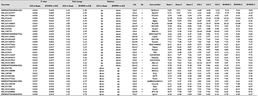 33 differentially expressed mRNAs identified from 2 lncRNA arrays (ICH vs sham, BYHWD vs ICH). Seq name: sequence name. P value: P value calculated by using unpaired t-tests. Fold change: the absolute ratio (no log scale) of normalized intensities between two groups (ICH vs sham; BYHWD vs ICH). Chr: chromosome number from which the mRNA is transcribed. Str: the strand of chromosome from which the mRNA is transcribed; “+” represents the sense strand of the chromosome, and “-” represents the antisense strand of the chromosome. Gene symbol: gene name. Sham 1 to 3, ICH 1 to 3 and BYHWD 1 to 3: normalized intensity of each sample (log2 transformed)