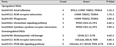The Kyoto Encyclopedia of Genes and Genomes (KEGG) pathways enrichment for the AF DE genes in a comparison of LA-PV and LAA specimens