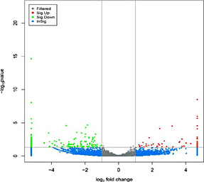 Fig. 1. The distribution of differentially expressed circRNAs between two pig breeds. Red points represent upregulated circRNAs, and green points represent down-regulated circRNAs. Gray points represent circRNAs without significant difference in expression between two pig breeds (|fold change| < 2.0, p-value ≥ 0.05). Blue points represent circRNAs without significant difference in expression between two pig breeds (|fold change| ≥ 2.0, but p-value ≥ 0.05).