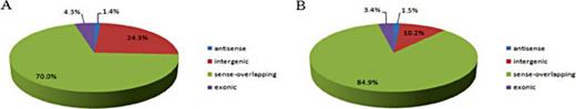 Fig. 2. The proportion of various circRNAs in total differentially expressed circRNAs in subcutaneous adipose tissue of Laiwu pig. (A) Up-regulated circRNAs. (B) Down-regulated circRNAs.