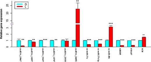 Fig. 3. qRT-PCR validation of the differentially expressed circRNAs, miRNAs and mRNAs. *: P< 0.05; **: P< 0.01; *** : P< 0.001.