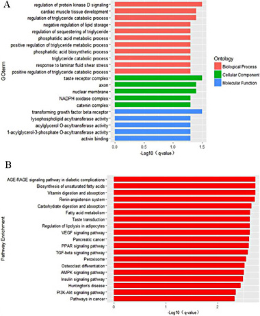 Fig. 6. (A) GO enrichment analysis and (B) KEGG pathway enrichment analysis of the target genes of circRNA_26852. (A) is composed of three parts: biological processes, molecular functions, and cellular components. The significance level of enrichment was set at q-value < 0.05. In (B), the vertical axis refers to the significantly enriched pathways with q-value < 0.05.