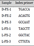 The index primers used for the circRNA-seq library preparation
