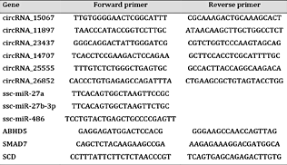 Primers used for qRT-PCR validation of the differentially expressed genes