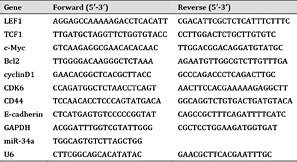 Nucleotide sequences of primers used for RTPCR reactions
