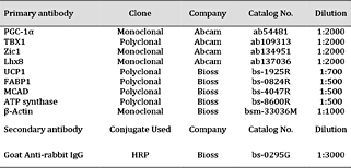The details of antibodies used in this study
