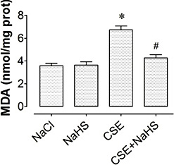 Fig. 2. NaHS alleviates CSE-induced lipid peroxidation in placentas. Comparisons of the contents of MDA in the NaCl, NaHS, CSE and CSE+NaHS groups. *P< 0.05 vs. NaCl group; #P< 0.05 vs. CSE group. n=6 per group.