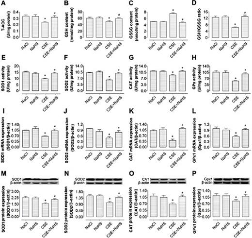 Fig. 4. NaHS alleviates placental redox imbalance caused by CSE. (A) Comparisons of the levels of T-AOC in the NaCl, NaHS, CSE and CSE+NaHS groups. (B-D) Comparisons of the contents of GSH, GSSG and GSH/GSSG ratio in placental homogenates from the NaCl, NaHS, CSE and CSE+NaHS groups, respectively. (E-H) Comparisons of the activities of SOD1, SOD2, CAT and total GPx in placental homogenates from the NaCl, NaHS, CSE and CSE+NaHS groups. (I-L) Comparisons of the mRNA expression levels of Sod1, Sod2, Cat and GPx1 in placentas from the NaCl, NaHS, CSE and CSE+NaHS groups. (M-P) Representative immunoblots (upper) and densitometric analysis (lower), respectively, of SOD1, SOD2, CAT and GPx1 protein expressions in the NaCl, NaHS, CSE and CSE+NaHS groups, respectively. *P< 0.05 vs. NaCl group; #P< 0.05 vs. CSE group. n=6 per group.