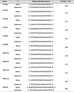 Oligonucleotide sequences of the primers used for RT-PCR