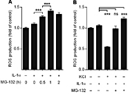 Fig. 4. Intracellular ROS production. ROS were detected at different timepoints following the MG-132 treatment of primed ARPE-19 cells (A). Additionally, the effect of high extracellular potassium levels on the ROS production at 1h was studied (B). Data combined from 5-7 independent experiments with 5-8 replicate samples/group in each experiment are presented as mean ± SEM. *p< 0.05, ***p< 0.001, ns -not significant, Mann -Whitney U-test.
