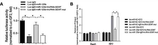 Fig. 7. (A) The relative luciferase activity of psiCHECK-2 expressing IGF2 3’UTR co-transfected with miR-125b, miR-125b and lncRNA-SEMT, miR-125b and mutated lncRNA-SEMT respectively in sheep myoblasts. Mean values ± SEM, n=3, *P< 0.05. (B) Streptavidin capture was performed in extracts of sheep myoblasts co-transfected with biotin-miR-NC or biotin-miR-125b and IGF2 3’UTR, IGF2 3’UTR together with lncRNA-SEMT or IGF2 3’UTR together with lncRNA-SEMT-mut, followed by Real-time PCR to detect IGF2 mRNA and control Gapdh mRNA abundances. Mean values ± SEM, n=3, *P< 0.05.