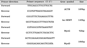 Primer sequences and gene amplicon size accessed by RT-PCR