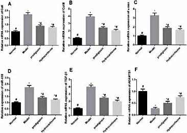 Fig. 4. Col I (A), Col III (B), α-SMA (C), miR-410 (D), TGF-β1 (E) and ADAMTS1 (F) mRNA expressionin lung tissues(* indicated P< 0.05 compared with Normal group, # indicated P< 0.05 compared with Model group).