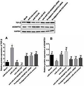 Fig. 7. Western Blot onrelative protein expression of TGF-β1 (A) and ADAMTS1 (B) (* indicated P< 0.05 compared with Normal group, # indicated P< 0.05 compared with Model group).