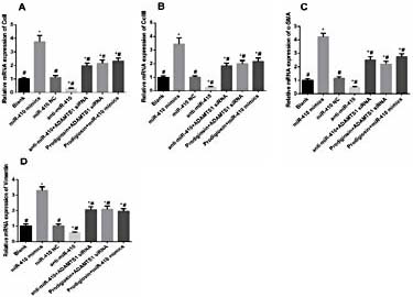 Fig. 8. RT-PCR onrelative mRNA expression of Col I (A), Col III (B), α-SMA (C)and Vimentin (D), (* indicated P< 0.05 compared with Normal group, # indicated P< 0.05 compared with Model group).