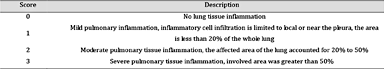 Pulmonary alveolar inflammation scores