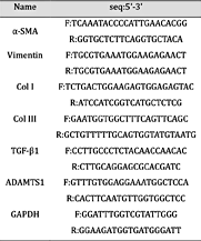 Primer sequences for RT-PCR