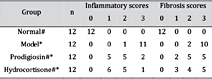 Lung inflammatory and fibrosis scores. * indicated P< 0.05 compared with Normal group, # indicated P< 0.05 compared with Model group