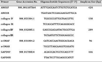 Oligonucleotide primers for qRT-PCR in this study. GAPDH, glyceraldehyde-3-phosphate dehydrogenase