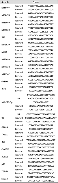 Primer sequence for gene amplification