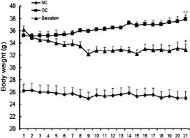 Fig. 1. The i.p. administration of baicalein for 21 days decreased the body weight of high fat diet-induced obese mice (n=8). The body weight was lower in the obese group with baicalein than the obese controls (OC), but higher in OC than the normal controls (NC). All data shown are the means ± SEM. * P< 0.05 vs. OC; ++P< 0.01 vs. NC.