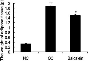 Fig. 2. The i.p. administration of baicalein for 21 days decreased the weight of adipose tissues of high fat dietinduced obese mice (n=8). The weight of adipose tissues was lower in the obese group with baicalein than the obese controls (OC). All data shown are the means ± SEM. * P< 0.05 vs. OC; ++P< 0.01 vs. NC.