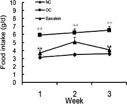 Fig. 3. The i.p. injection of baicalein significantly decreased the food intake of animals (n=8). The food intake of mice in the baicalein group compared with obese controls (OC) was significantly decreased in the first, second and third week respectively. All data shown are the means ± SEM. ** P< 0.01 vs. OC; ++P< 0.01 vs. NC.