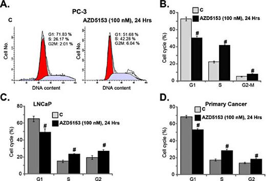 Fig. 3. AZD5153 induces cell cycle arrest in prostate cancer cells. PC-3 cells, LNCaP cells and primary human prostate cancer cells (“Primary Cancer”) were cultured in complete medium, and cells were treated with 100 nM of AZD5153 for 24 hours, cell cycle distribution was tested by the PI-FACS assay, representative FACS images were shown (A) and data were quantified (B-D). “C” stands for cells without treatment. For each assay, n=5. Data are mean ± SD. # P< 0.05 vs. “C” cells. Experiments in this Fig. were repeated four times, and similar results were observed.