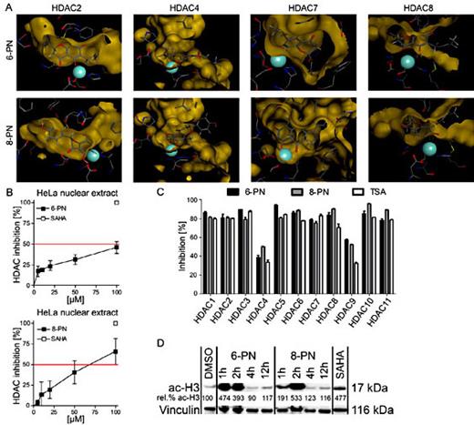 Fig. 2. 6-PN and 8-PN are inhibitors of human-derived histone deacytelases and induce hyperacetylation in SK-MEL-28 melanom cells. Result of the in silico docking analysis of 6-PN and 8-PN with crystal structures of HDAC2, HDAC4, HDAC7 and HDAC8. The analysis shows the predicted binding mode of 6-PN and 8-PN in the HDAC binding pockets. Both molecules are predicted to interact with the zinc ion (turquoise sphere) as well as other residues of the catalytic centre (A). Overall HDAC inhibition in cellular extracts of the human cell line HeLa by increasing concentrations of 6-PN and 8-PN (5, 10, 20, 50 and 100 µmol/L). As reference inhibitor 100 µmol/L SAHA was used. All concentrations were tested three times in triplicate. Data are means ± SD (B). Specific fluorometric profiling assay using recombinant human HDAC of classes I, II and IV. Specific inhibition values were generated for the treatment with 100 µmol/L 6-PN and 8-PN. TSA was used as reference inhibitor (HDAC1, 2, 3, 6, 10, 11: 10 nmol/L; HDAC4, 8, 9: 1 µmol/L; HDAC5, 7: 10 µmol/L). Inhibition values for every HDAC were yielded by one experiment performed in duplicates. Shown are means ± SD (C). Western blot analysis of acetylated histone complex H3 in cellular lysates of SK-MEL-28 cells treated with 100 µmol/L 6-PN or 8-PN for 1, 2, 4, or 12 h, or with 100 µmol/L SAHA (as reference HDACi) for 24 h. Equal protein loading was verified by vinculin staining (lower rows). At 2 h after PN exposure a prominent up-regulation of ac-H3 is detectable. Protein expression levels were estimated performing a densitometric analysis (D).