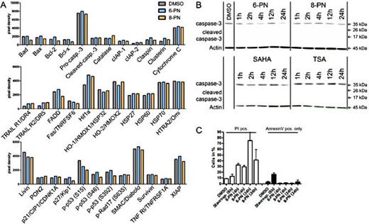 Fig. 4. Cell death induced by 6-PN and 8-PN is apoptosis-independent in SK-MEL-28 cells. Apoptosis assay (35 proteins) performed on lysates of SK-MEL-28 cells 4 h after exposure to 100 µmol/L 6-PN or 8-PN. Protein expression was quantified by densitometric analysis. Neither 6-PN nor 8-PN yielded a significant change of expression of the analyzed proteins involved in apoptosis (A). Western blot analysis of SK-MEL-28 melanoma cells treated with 100 µmol/L of 6-PN, 8-PN, SAHA or TSA. DMSO was applied as control. Although a band for caspase-3 (35 kDa) is clearly visible for all treatments, no additional band for cleaved-caspase-3 (expected size: 17 kDa) was found upon any of the treatments (B). FACS analyses of SK-MEL-28 cells treated with 100 µmol/L 6-PN or 8-PN and stained for annexin V / PI; staurosporine was used as control for apoptosis induction and DMSO as vehicle control. PN-treatment did not increase the number of annexin V positive (apoptotic) cells (C).