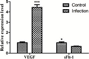 Fig. 2. Transcriptional expression of VEGF and sFlt-1 in M-MDSCs from infected and uninfected mice. ***P< 0.001 versus Control; n = 3.